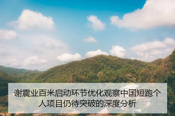 xie-zhen-ye-bai-mi-qi-dong-huan-jie-you-hua-guan-cha-zhong-guo-duan-pao-ge-ren-xiang-mu-reng-dai-tu-po-de-shen-du-fen-xi-2-667.jpg