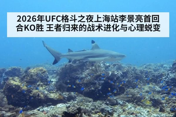 2026年UFC格斗之夜上海站李景亮首回合KO胜 王者归来的战术进化与心理蜕变