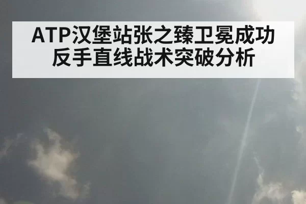 ATP汉堡站张之臻卫冕成功反手直线战术突破分析